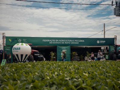 Sistema Famato promove conexão entre produção rural e consumidores durante feiras