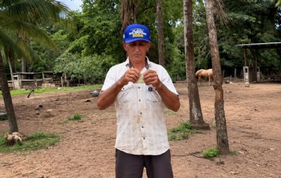 Eleitor de 73 anos rasga título em protesto e questiona transparência das eleições